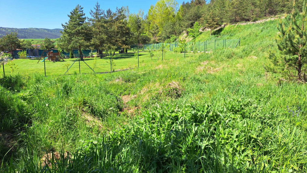 Predaj pozemok, záhrada v k.ú. Hôrka pri Poprade o výmere 1093 m²