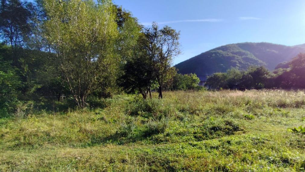 Pozemok priamo v obci Olejníkov, na výstavbu RD, okr. Sabinov.