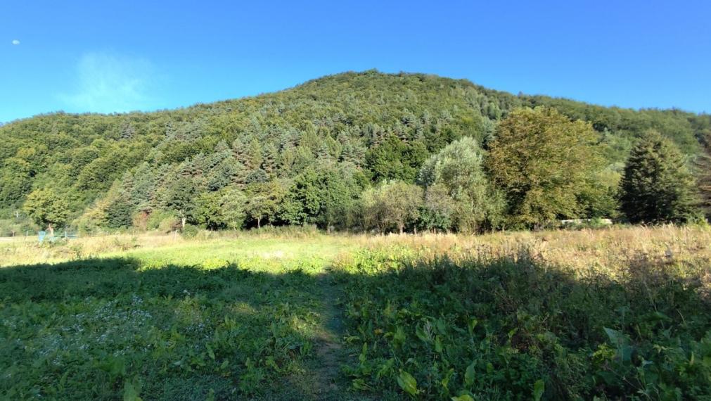 Pozemok priamo v obci Olejníkov, na výstavbu RD, okr. Sabinov.