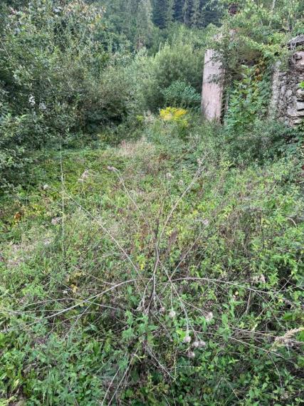 Predaj stavebný pozemok Gelnica