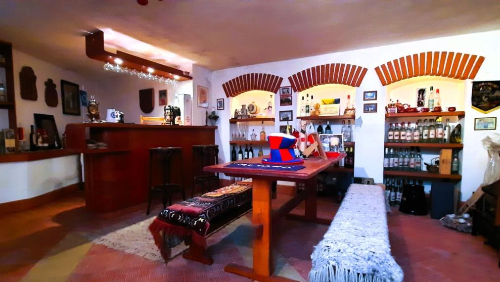 PREDANÉ - Nadštandardný RD s krytým bazénom a VIP vinnou pivnicou s barom len 33km od Košíc- Turňa nad Bodvou