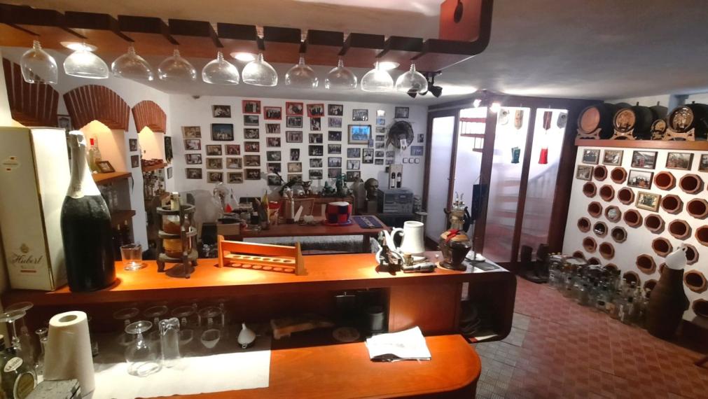 PREDANÉ - Nadštandardný RD s krytým bazénom a VIP vinnou pivnicou s barom len 33km od Košíc- Turňa nad Bodvou