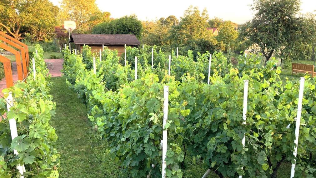 PREDANÉ - Nadštandardný RD s krytým bazénom a VIP vinnou pivnicou s barom len 33km od Košíc- Turňa nad Bodvou