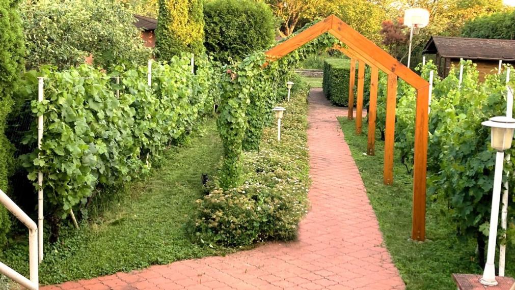 PREDANÉ - Nadštandardný RD s krytým bazénom a VIP vinnou pivnicou s barom len 33km od Košíc- Turňa nad Bodvou