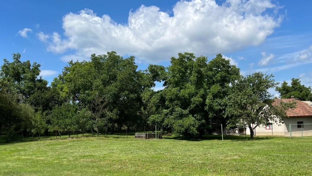 EXKLUZÍVNE NA PREDAJ – POZEMOK OVOCNÝ SAD V CHMIŇANOCH, BLÍZKO PREŠOVA