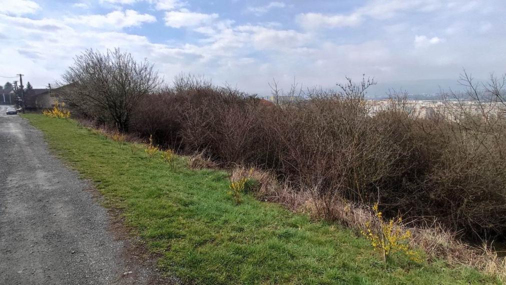 EXKLUZÍVNE - 7 Investičných (IBV) pozemkov v Ľuboticiach