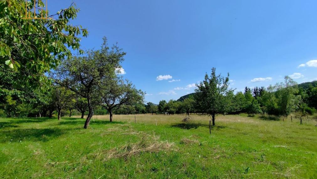 Predám pozemok v obci Drienica