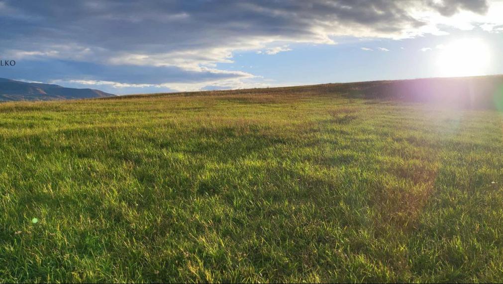 EXKLUZÍVNE - Pozemok k výstavbe Rodinných Domov - Čeľovce - 99.000 €.