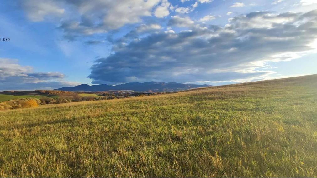 EXKLUZÍVNE - Pozemok k výstavbe Rodinných Domov - Čeľovce - 99.000 €.