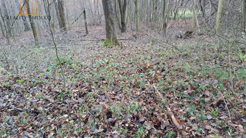 Predaj pozemkov v rekreačnej oblasti Hubková-Humenné.