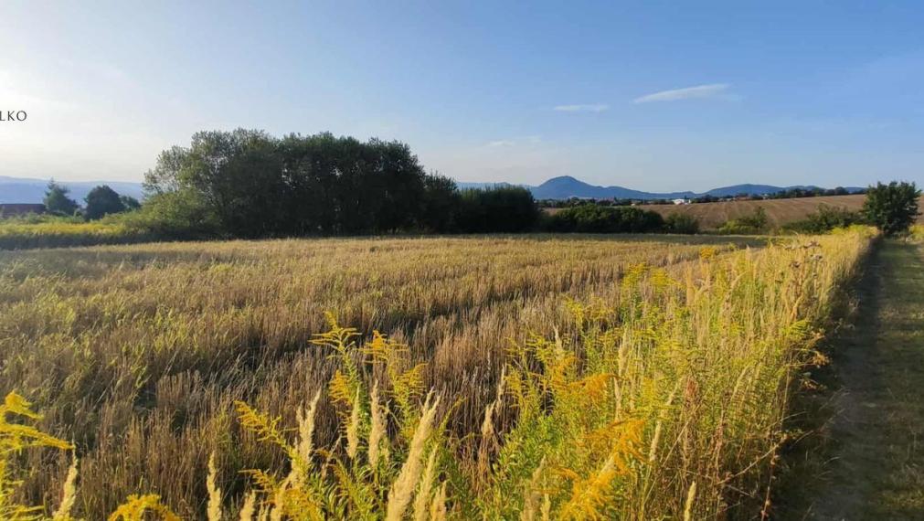 EXKLUZÍVNE - 3 nové pozemky k výstavbe RD - Solivar - Prešov.