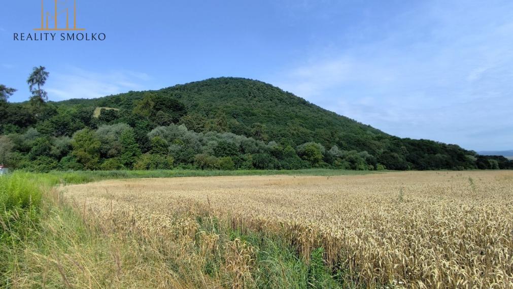Pozemok na podnikanie v priemyselnej časti - Veľký Šariš