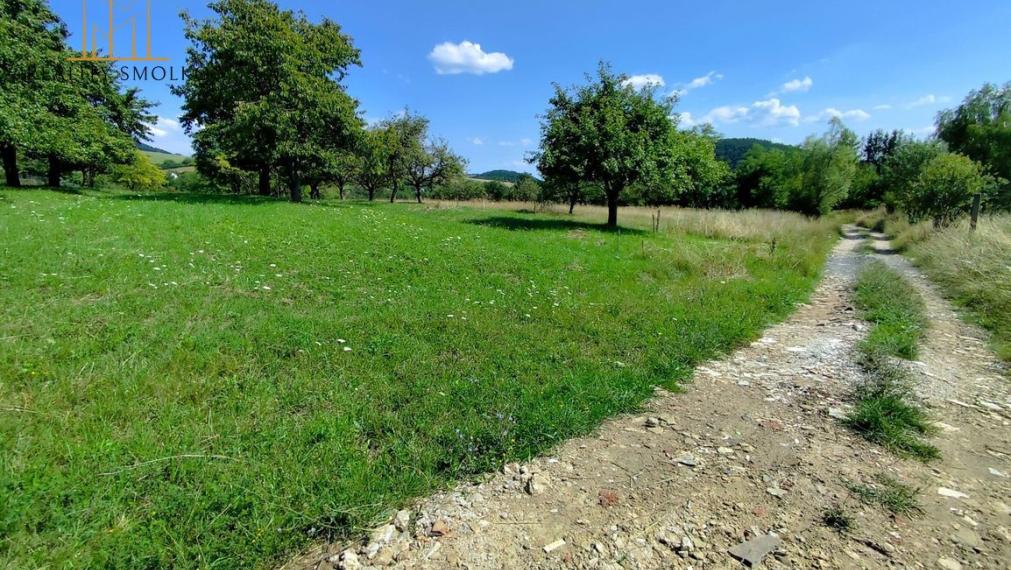 Predám pozemok v obci Drienica