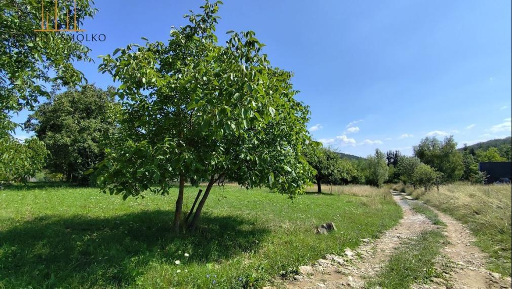 Predám pozemok v obci Drienica