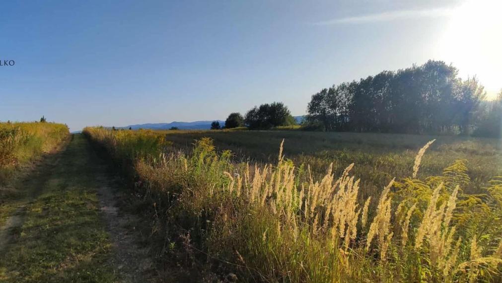 EXKLUZÍVNE - zostávajú dva pozemky k výstavbe RD - Solivar - Prešov.