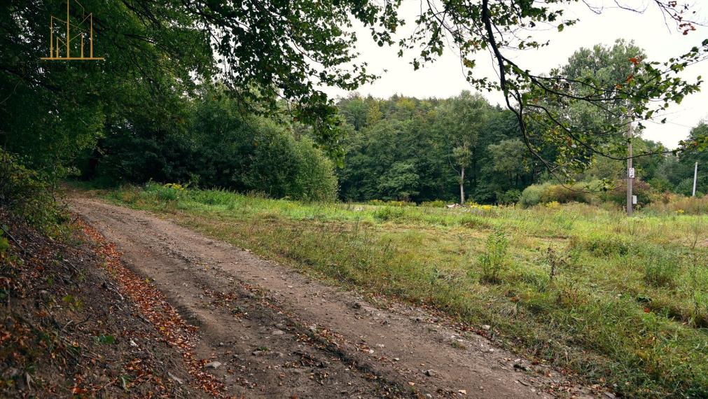PREDÁM rekreačný pozemok - Vyšné Raslavice, okr. Bardejov