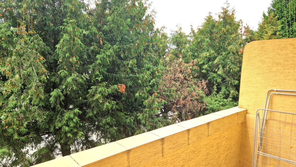 PRENÁJOM, 1,5 izbový byt, loggia, PREŠOV