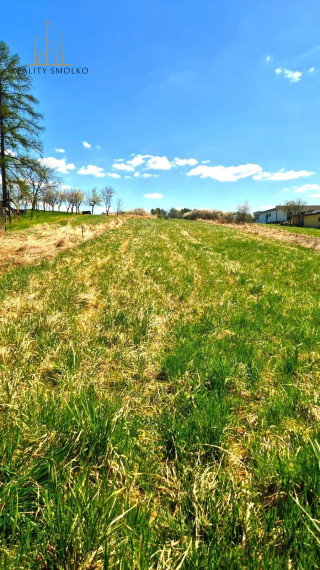 Na predaj POZEMOK pre RD, BELOVEŽA