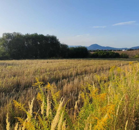 Exkluzívne - Predaj pozemku - Solivar - Presov