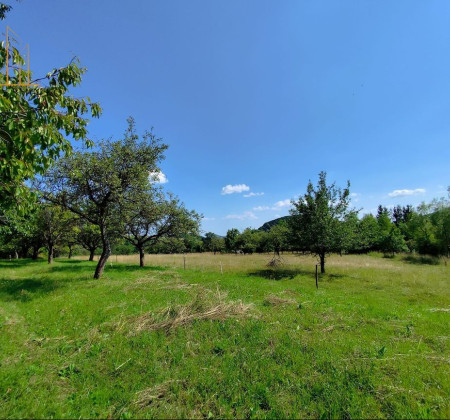 Predám pozemok v obci Drienica