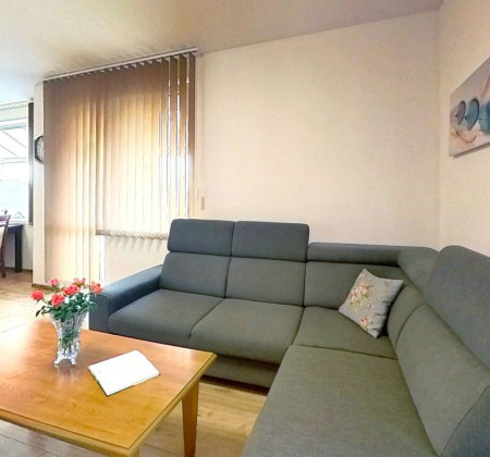 4i RD v TERIAKOVCIACH, pozemok 698 m²,3D