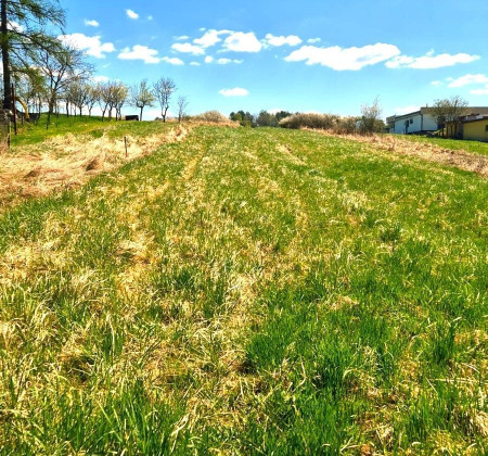 Na predaj POZEMOK pre RD, BELOVEŽA