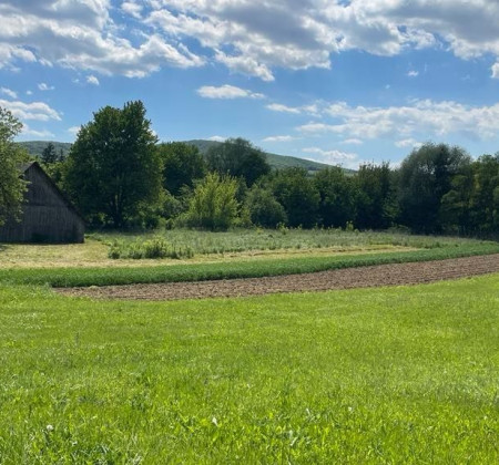 PREDANÉ !!!  POZEMOK v obci LÚČKA, okr. Svidník 1050m2