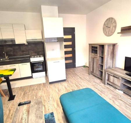 Prenájom - 1 izbový byt, kompletná rekonštrukcia, 43m², Tomášikova