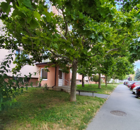 Na prenájom 2,5 izbový krásny byt v Sabinove