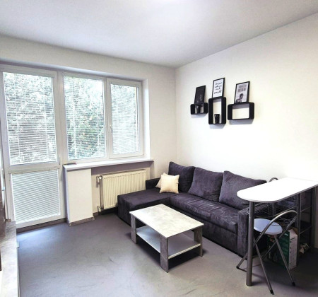PRENÁJOM, 1,5 izbový byt, loggia, PREŠOV